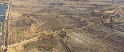 向阳湖镇全域国土综合整治跑出“加速度”：签约率100%，清表进度超99%