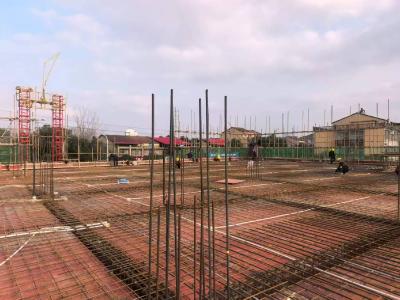 向阳湖镇：项目建设强引擎 固投增长谱新篇