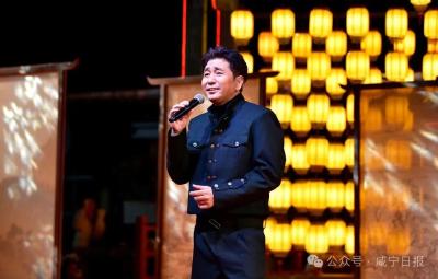 沙宝亮、胡灵倾情献唱！咸宁这场迎春灯会燃爆全城