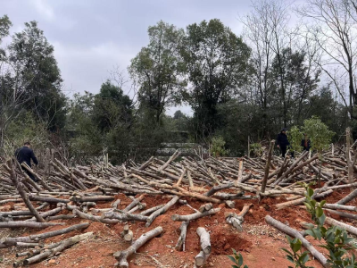 官埠桥镇：重拳出击控违抢种 全力护航重点工程