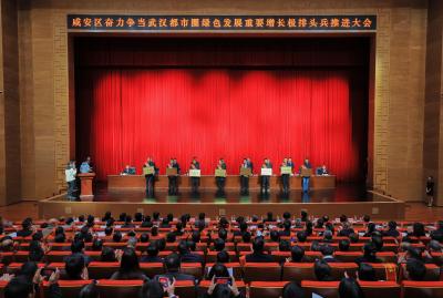 聚“龙”兴区！咸安区以最高礼遇致敬发展主力军