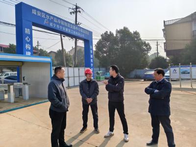 向阳湖镇：春启新程 实干争先