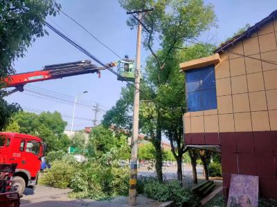 向阳湖镇：电力清障护民生 护航平安幸福年