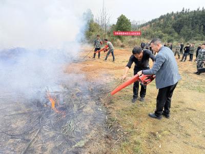 向阳湖镇：开展森林防火应急演练 筑牢安全屏障