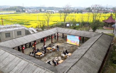 金色花海遇上青春良缘 咸安区60余名青年共赴一场春日之约