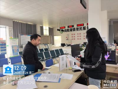 向阳湖镇：延时服务“不打烊” 群众办事“零跑腿”