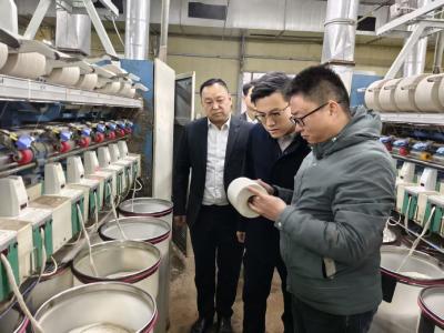 向阳湖镇：新春走访暖企心 实干护航工业兴