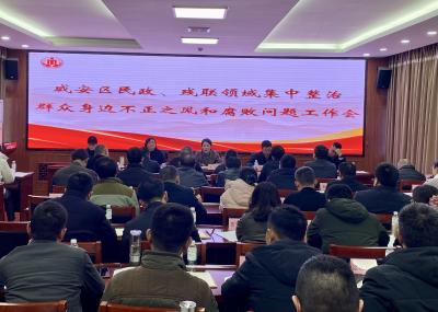 咸安区召开民政、残联领域集中整治群众身边不正之风和腐败问题工作会