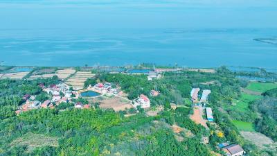 咸安：农户“以劳代资”入股 农事服务中心有了“新股东”