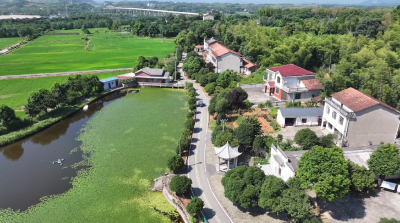 咸安区“三维发力”绘就和美乡村新画卷