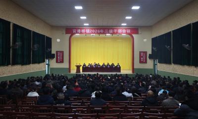 官埠桥镇：接力奋进 开创新局 奋力谱写重点乡镇高质量发展新篇章