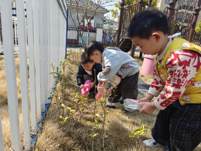 区中心幼儿园：三月春风绿意浓 萌娃护绿在行动  