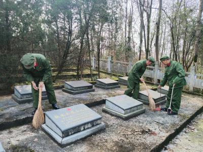 区退役军人事务局：志愿服务慰先烈 传承精神学雷锋