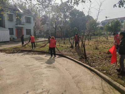 向阳湖镇全域开展“清洁家园”行动  绘就和美乡村新画卷