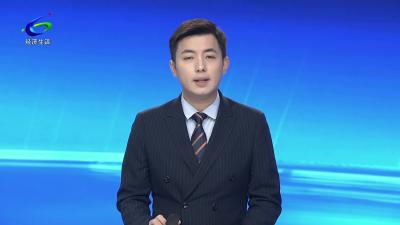 【乡村振兴看咸安】横沟桥镇“明前茶”采制忙