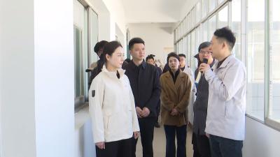 同植新绿共商春计 咸安区工商联携手楚商共促家乡发展