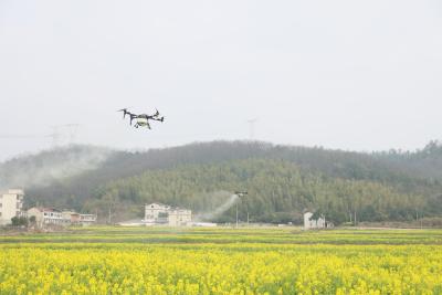 咸安区召开冬种油菜“一促四防”现场会