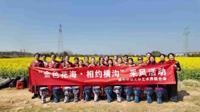 金色花海涌动诗意 文艺赋能乡村振兴 