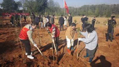 不负春光“添”新绿 贺胜桥镇开展义务植树活动