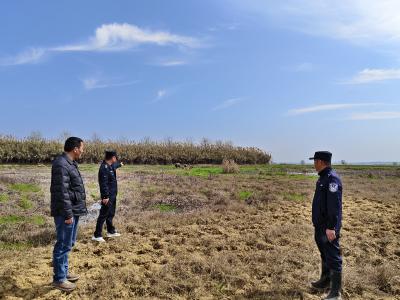 咸宁向阳湖湿地专项整治过度放牧 筑牢生态保护防线