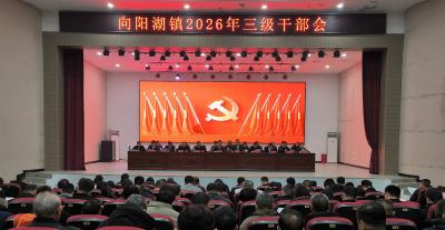 向阳湖镇三级干部会议召开 吹响建设冲锋号