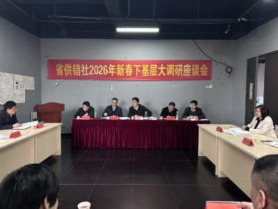 省供销社调研组来咸安开展新春下基层活动