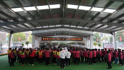门球飞扬庆“三八” 咸安巾帼展英姿
