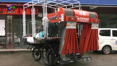 【春来农事忙】新技术育新苗 科学春耕助丰收