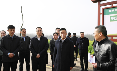 李军平调研双溪桥镇全域国土整治工作时强调  因地制宜落地落细 高位推进务求实效