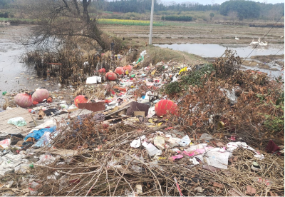 咸安城管：常态化巡查“盯”出乡村环境新面貌