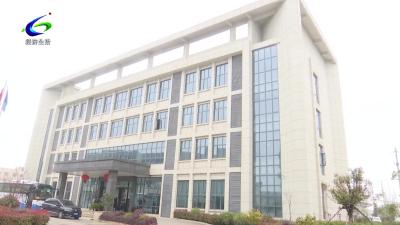 【我为群众办实事】浮山街道：政企联动搭桥梁 精准服务促就业