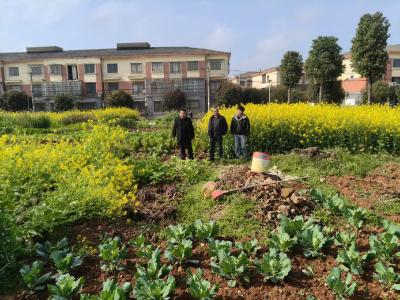 横沟桥镇全面推进禁种铲毒，守护平安净土​ 