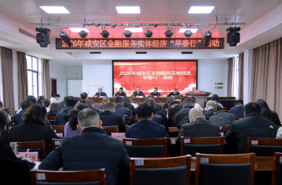 2026年咸安区金融服务实体经济“早春行”活动举行 授信总额达50.27亿元