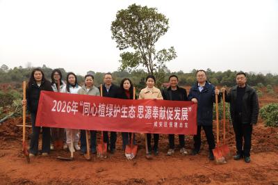 民建咸安区总支开展义务植树活动
