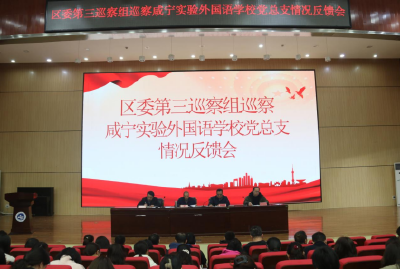 区委第三巡察组巡察咸宁实验外国语学校党总支情况反馈会召开