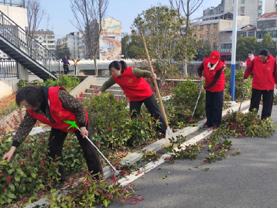 区委巡察办：清洁家园展新颜 文明实践树新风