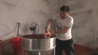 咸安：工厂化育秧，播撒春天的希望