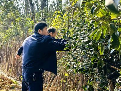 向阳湖镇开展禁种铲毒专项行动 筑牢无毒防线