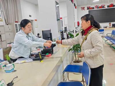 向阳湖镇：小名片架起连心桥 解锁向阳湖镇政务服务新温度