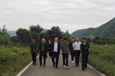 以茶为媒 共话融合 武汉柏泉茶园团队来咸安考察茶文旅产业