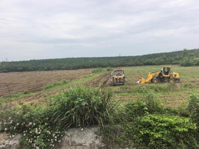 抢抓三天好天气 千亩玉米播种忙