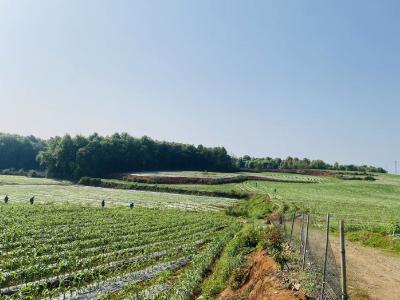 源头减量护良田 地膜转型促回收 