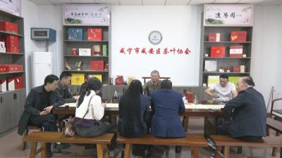 尼日利亚咖啡与茶协会主席一行来咸考察 共话茶产业合作