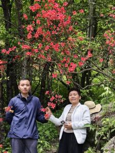 大幕山，那份藏在杜鹃花里的信仰