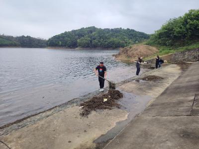 全力清理水库漂浮物 筑牢水域生态安全防线