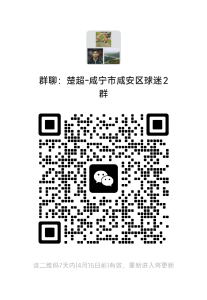 为咸宁而战！湖北省城市足球联赛咸安区球迷观赛团招募啦！