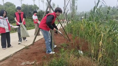 咸宁职院学子助力向阳湖镇 “清洁家园” 青春力量扮靓美丽乡村