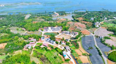 7000棵桃树“安家”斧头湖畔 特色种养再添“生力军”