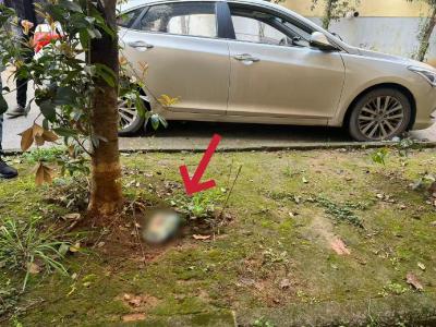 槟榔袋成破案关键，咸安公安1小时内破获车内盗窃案