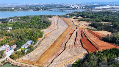 咸安：废旧地膜“以旧换新” 春耕吹起绿色新风